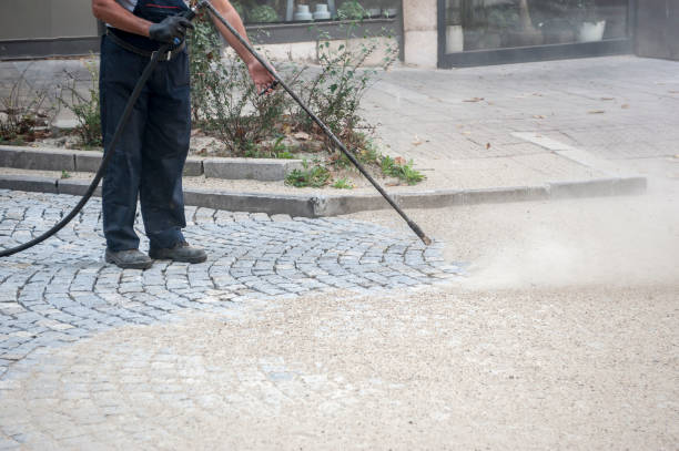 Best Gutter Cleaning and Brightening in Biscayne Park, FL